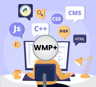 web master plus+ course at website design institute in delhi