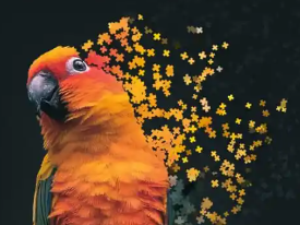 photo editing course icon